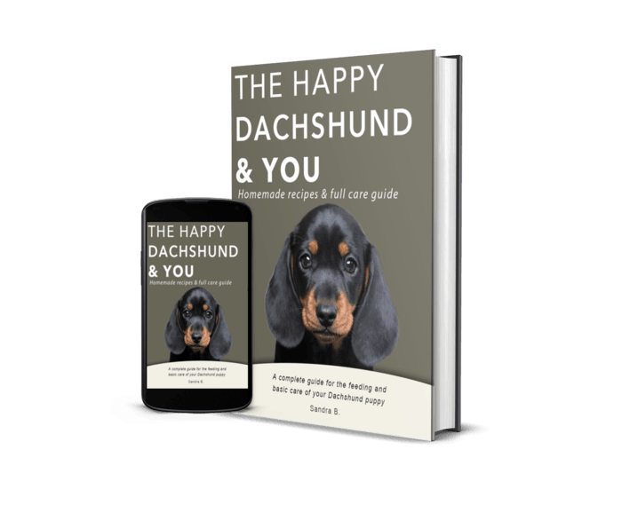 Cover of The Happy Dachshund & You